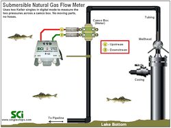 CDi3s.FTe, CorvetteII in a typical 2-TR submersible flow meter application.