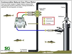 CDi3s.FTe, CorvetteII in a typical 3-TR submersible flow meter application.